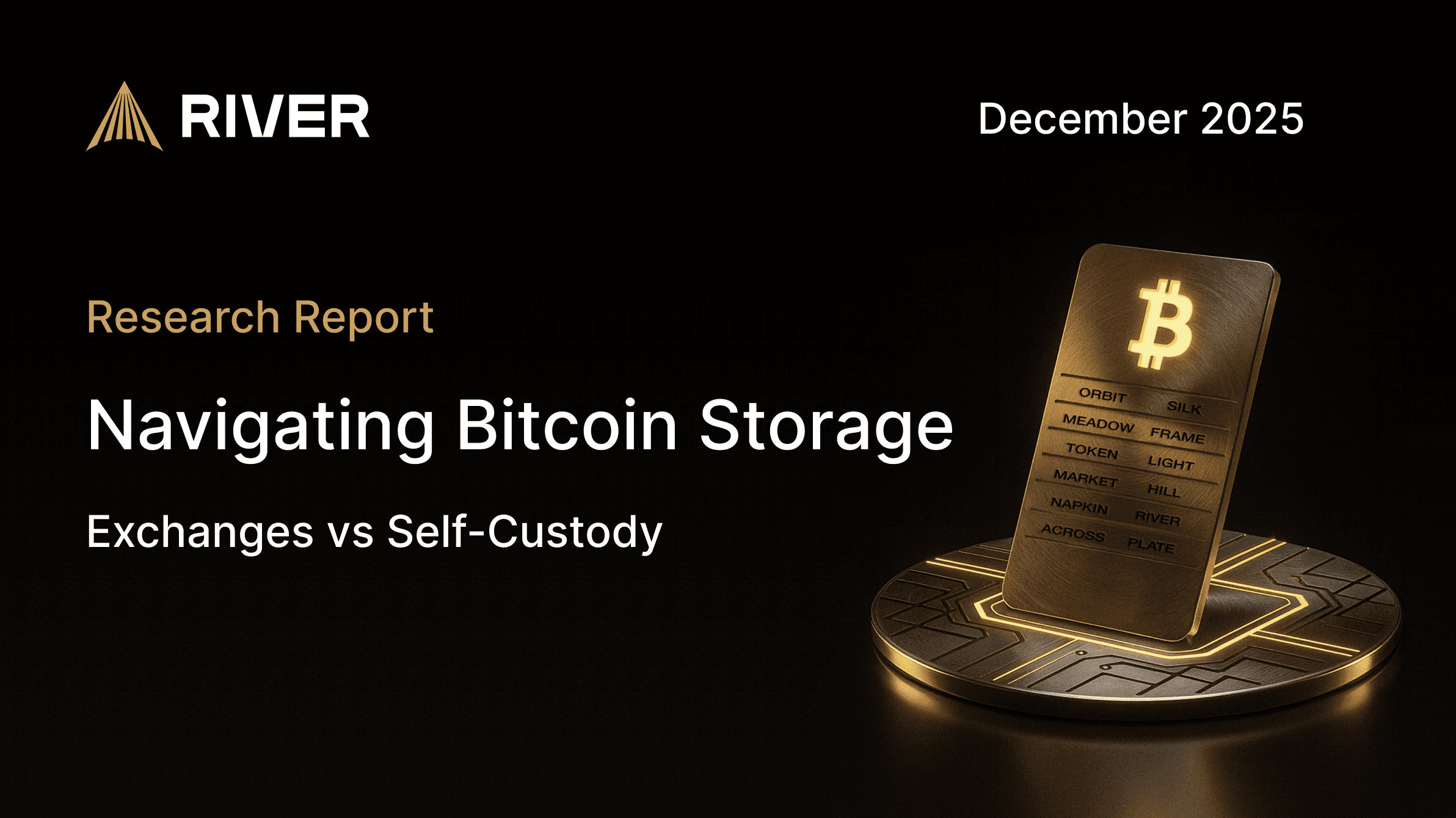 Navigating Bitcoin Storage