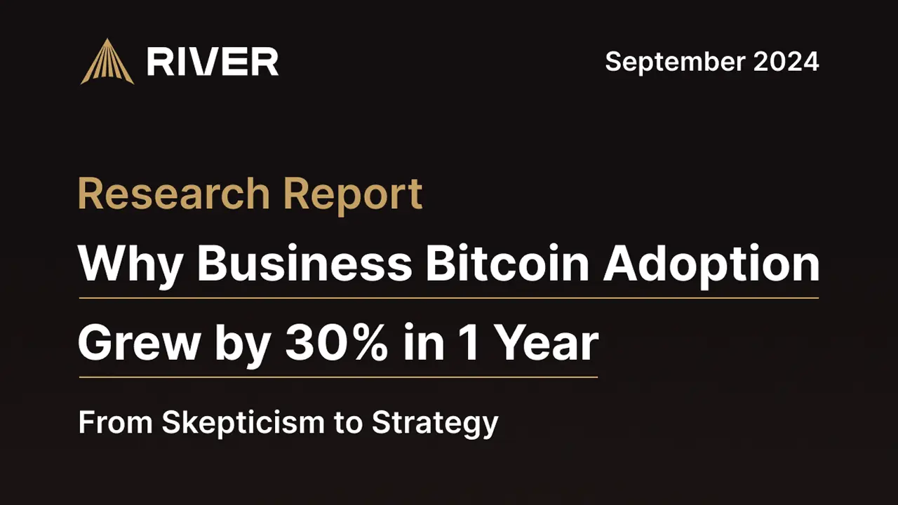 Why Business Bitcoin Adoption Grew by 30% in 1 Year